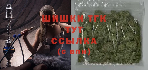 сатива Абаза
