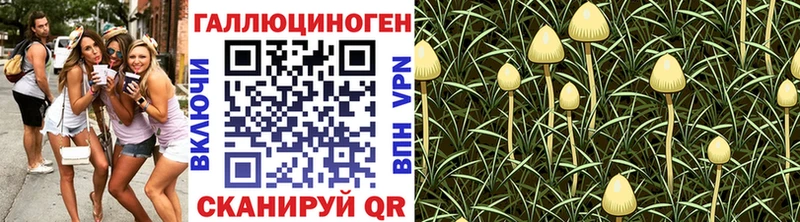 Псилоцибиновые грибы мухоморы  где купить наркотик  дарк нет телеграм  Никольское 